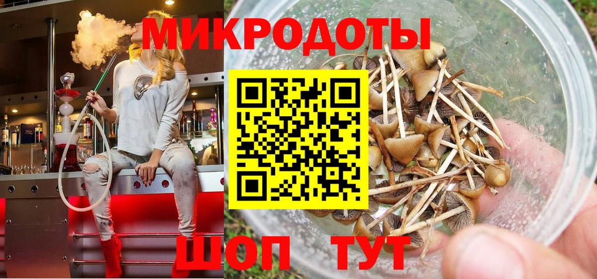 где можно купить наркотик  Галлюциногенные грибы мицелий  Вход с VPN  Чистополь 