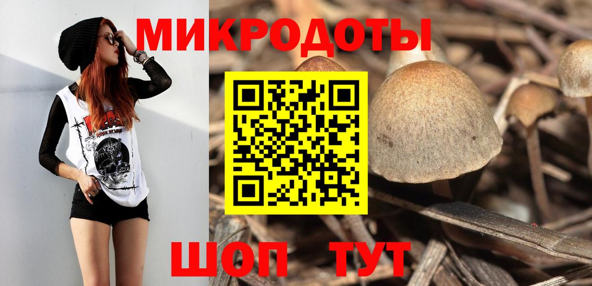 Галлюциногенные грибы Psilocybine cubensis Чистополь